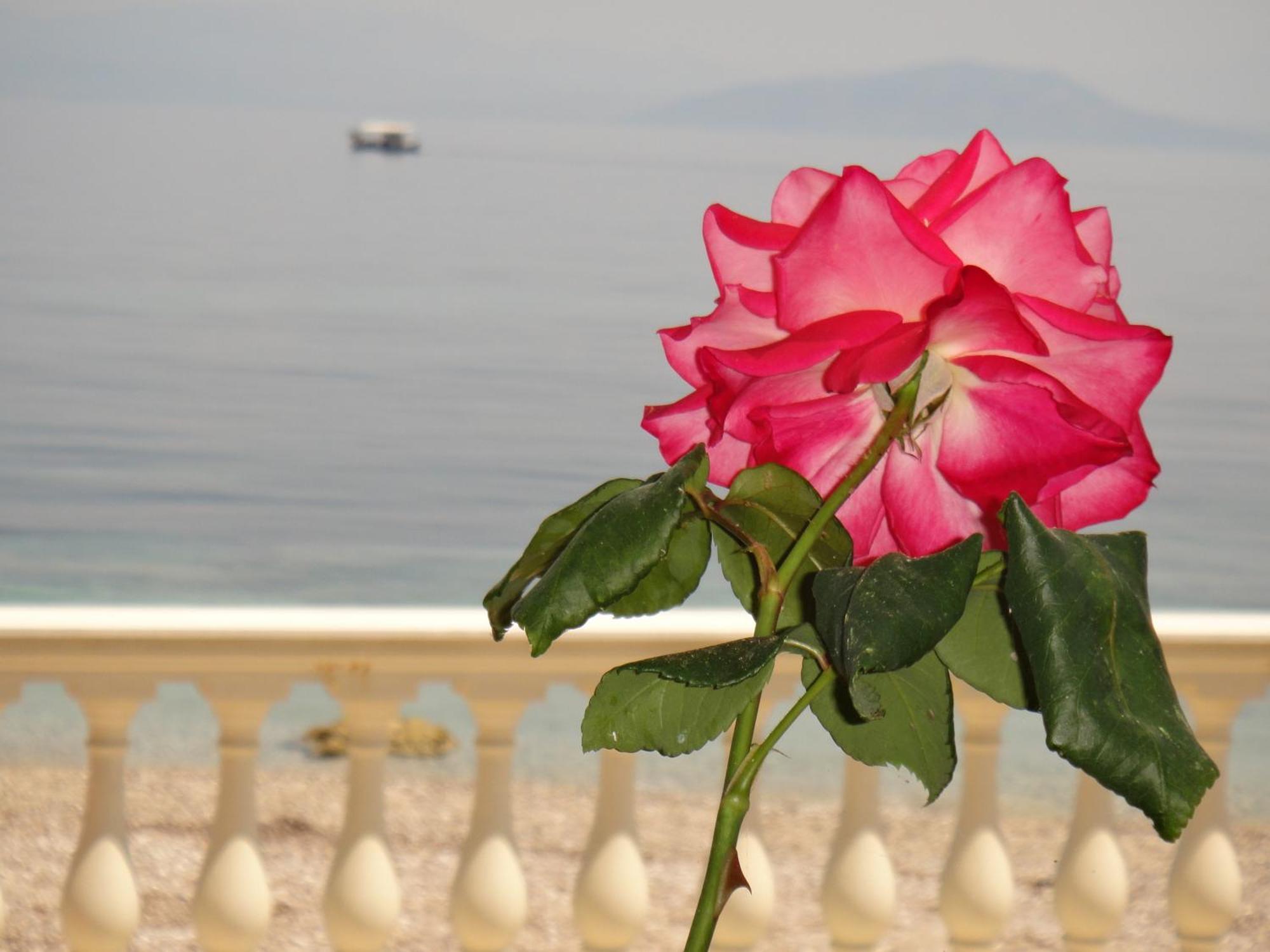 Apartments Corfu Sun Sea Side Benitses  Exterior foto