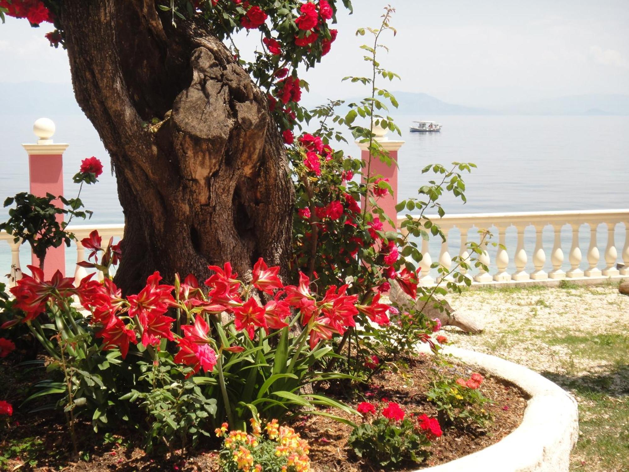 Apartments Corfu Sun Sea Side Benitses  Exterior foto